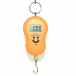 LCD Digital Portable Electronic Hook Scale Hanging Luggage Weight SCALE 10g/50kg